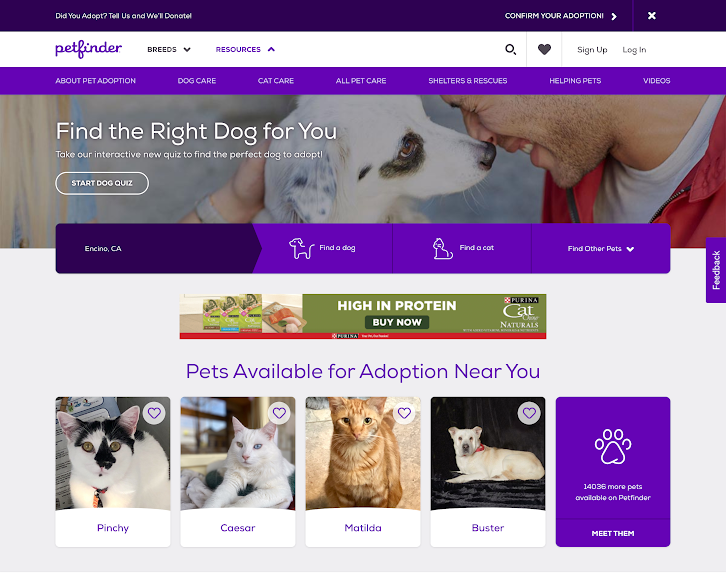 petfinder.com analysis pic.